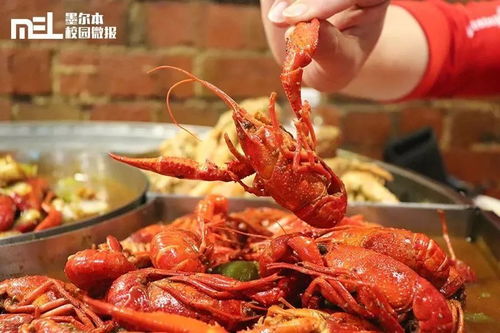 微報福利 墨爾本這家龍蝦店太拽啦 反手就給我來了一個龍蝦屆的 俄羅斯輪盤