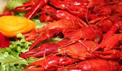 摩爾莊園麻辣小龍蝦 用產(chǎn)品與服務贏得美食消費者